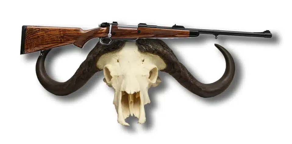 Trophy hunting - Buffalo Skull and Big Game Rifle