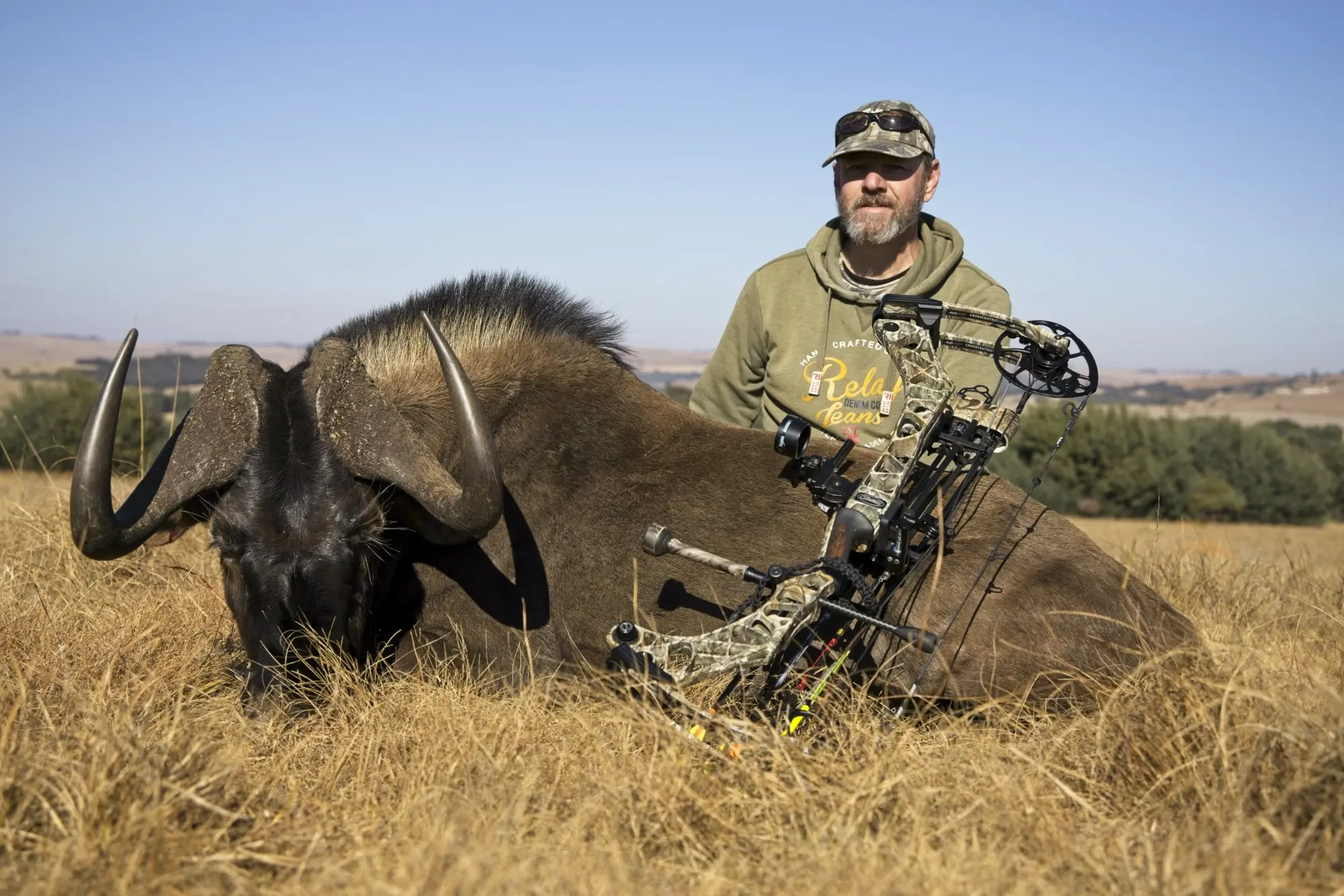 Bow Hunt Black Wildebeest in South Africa - good trophy Black Wildebeest taken on a bow hunt.