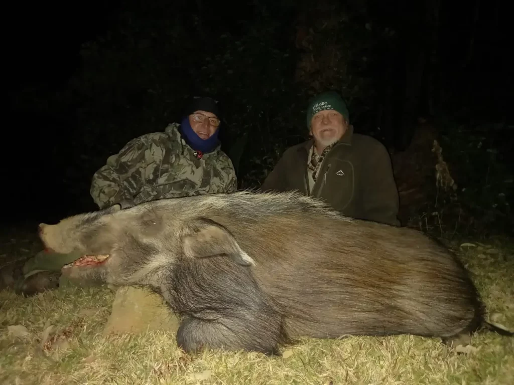 Bushpig hunting - hunters with trophy Bushpig