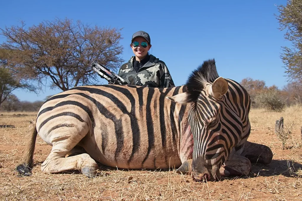 Hunted trophy Zebra and Female huntress.