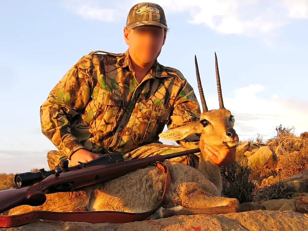 Hunting Grey Rhebuck
