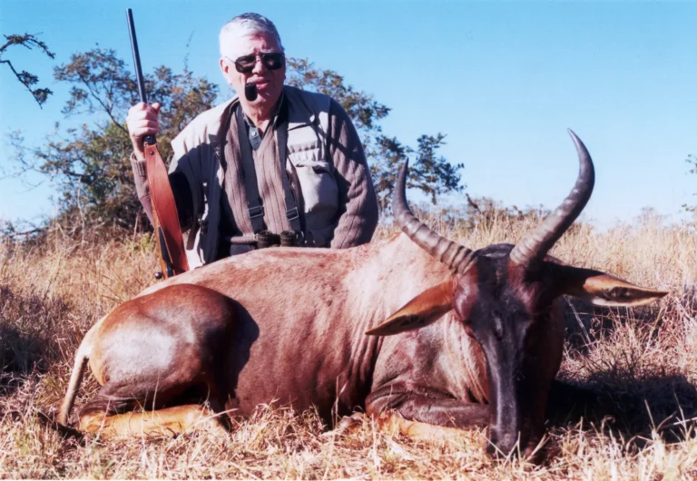 Tsessebe Hunts in South Africa