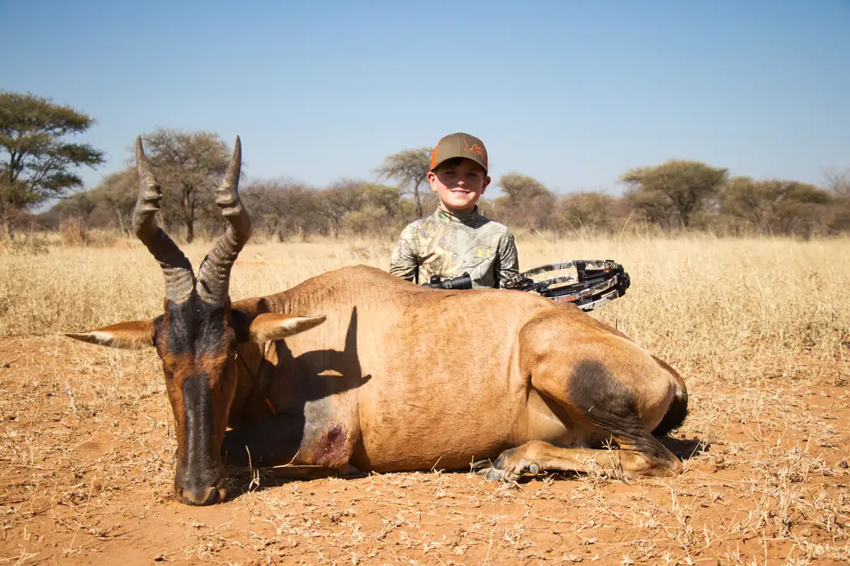 Ultimate Bow Hunting Safari in Africa - young Hunter and trophy Red Hartebeest