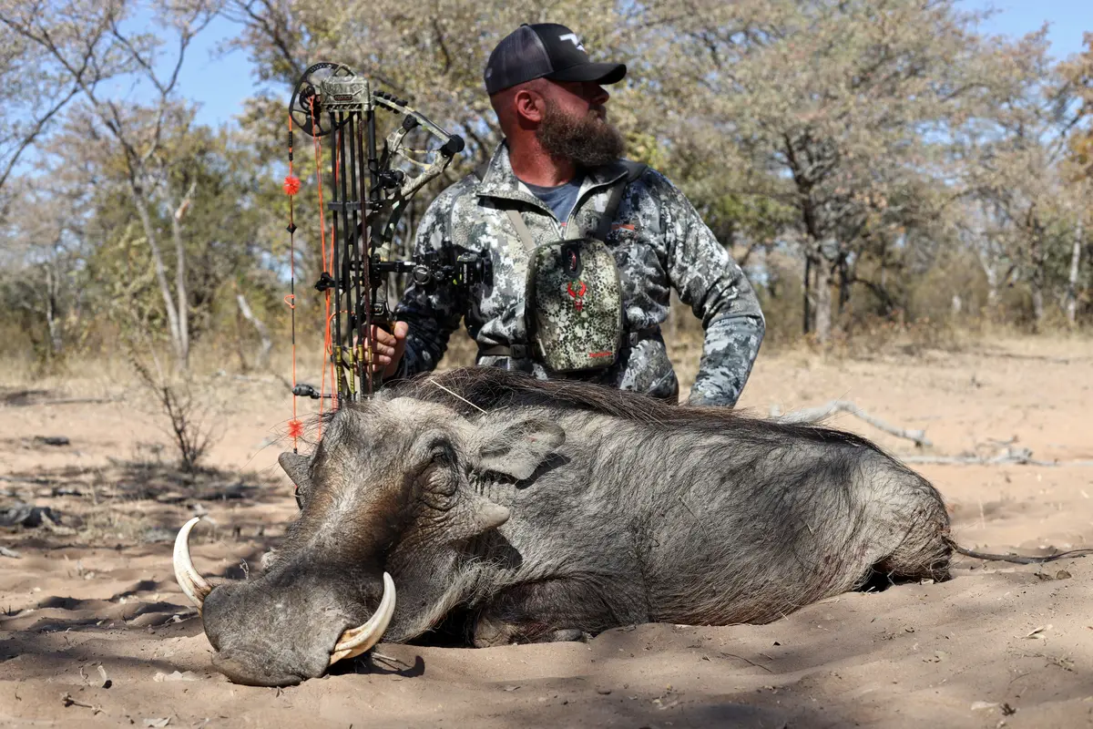 Bow Hunt Warthog in South Africa 1
