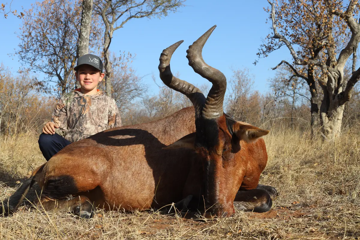 Hunting Sable in South Africa - Somerby Safaris