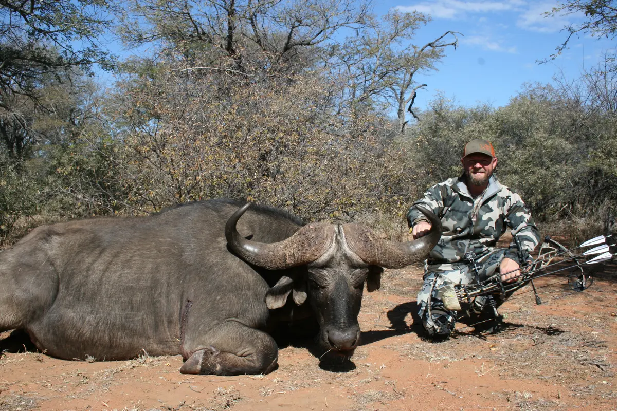 Cape Buffalo Hunting Packages and Prices in South Africa - Buffalo Bow Hunt