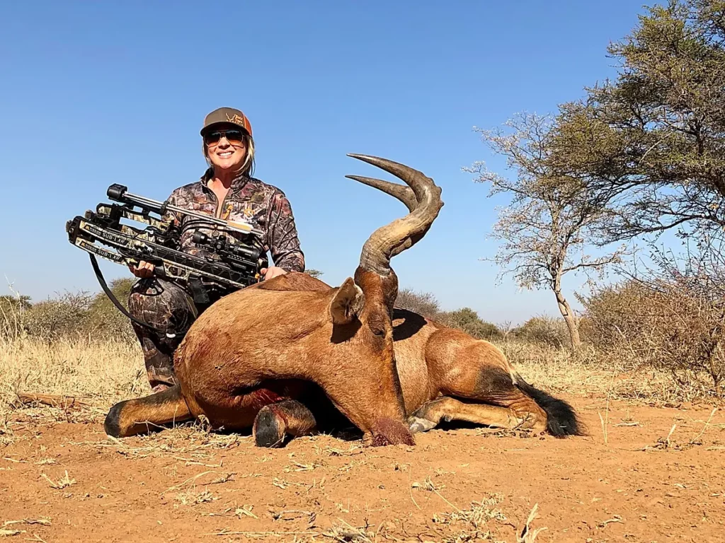 Crossbow Hunting Prices and Hunting Packages in South Africa - Crossbow hunter with trophy Red Hartebeest.